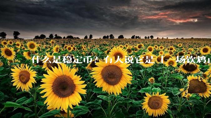 什么是稳定币？有人说它是「一场饮鸩止渴的游戏」，你怎么看？